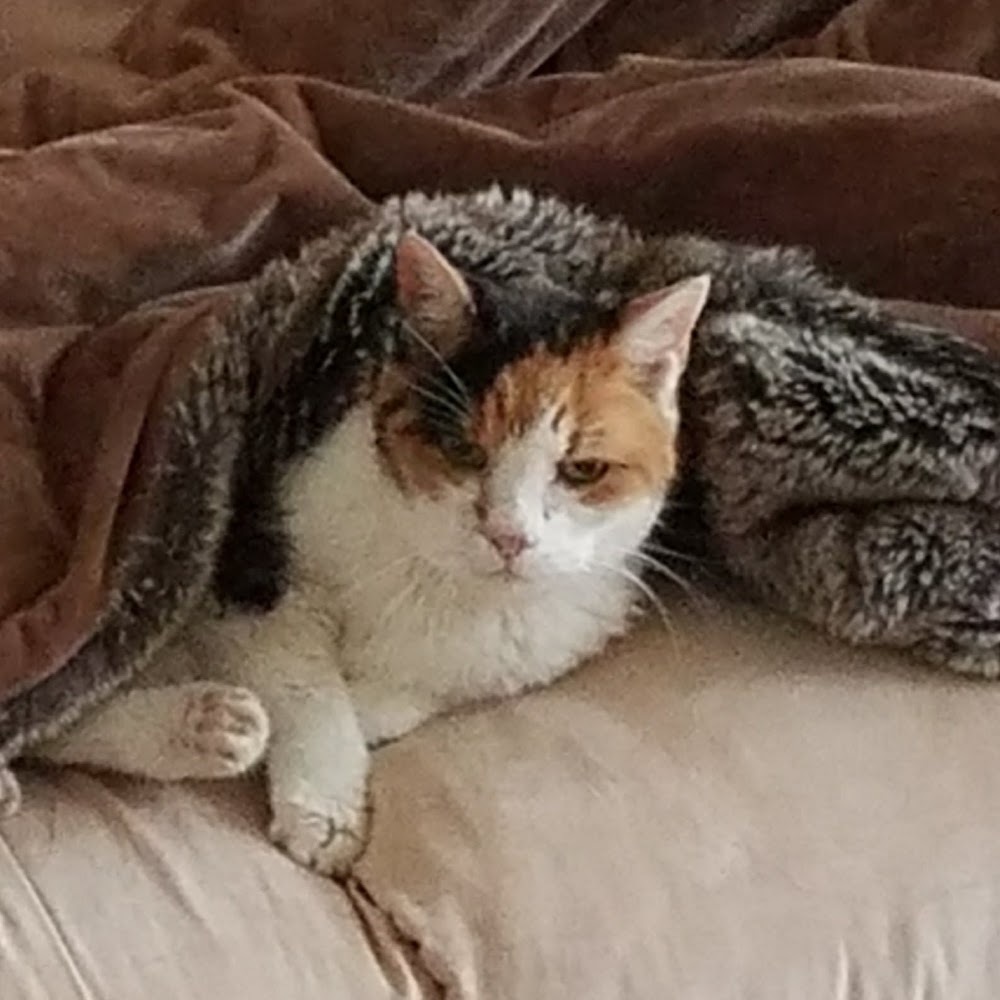 Meet your Posher, Karen